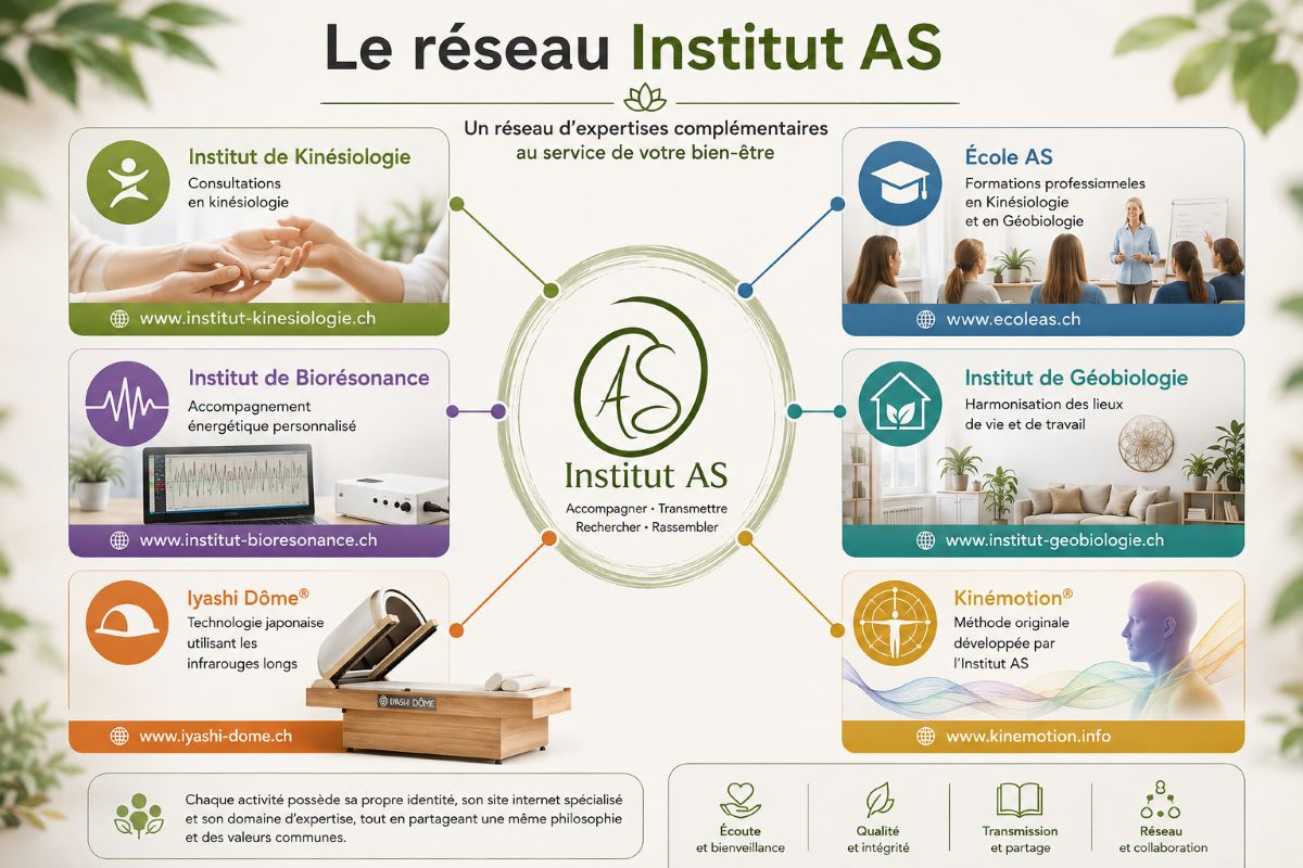 Le réseau Institut AS – Nos domaines d'expertise complémentaires Infographie présentant le réseau Institut AS et ses six domaines d'expertise : Institut de Kinésiologie, École AS, Institut de Biorésonance, Institut de Géobiologie, Iyashi Dôme® et Kinémotion®.